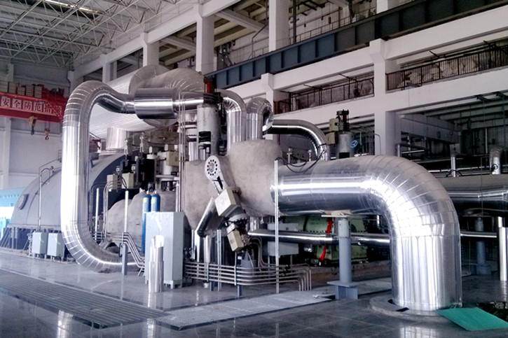 垃圾沼氣發(fā)電廠(chǎng)配套濾芯廠(chǎng)家