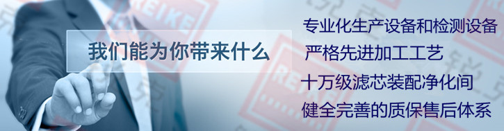 自清洗過(guò)濾器濾芯優(yōu)勢(shì)